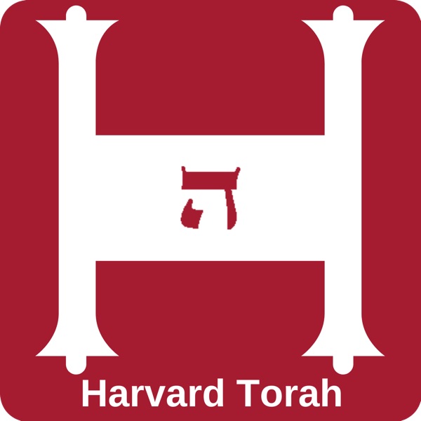 Harvard Torah