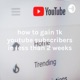 how to gain 1k youtube subscribers in less than 2 weeks