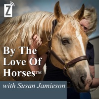 By the Love of Horses podcast
