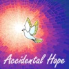 Accidental Hope artwork