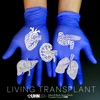 Living Transplant artwork