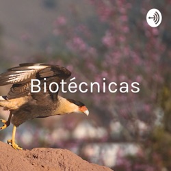 Biotécnicas - Reprodução De Bubalinos