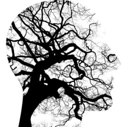 A metaforák kognitív idegtudománya és a képletes jelentésalkotás új modellje - Forgács Bálint előadása