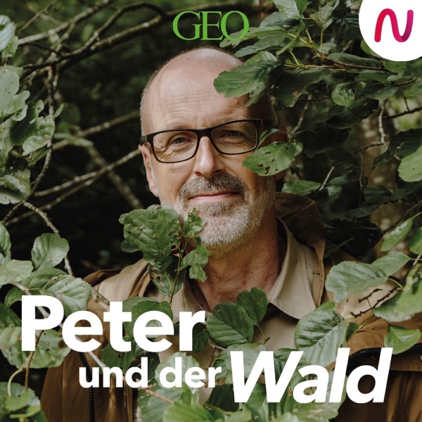 Peter und der Wald – ein GEO-Podcast