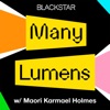 Many Lumens with Maori Karmael Holmes artwork