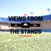 Views From The Stands  artwork