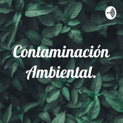 Contaminación Ambiental.