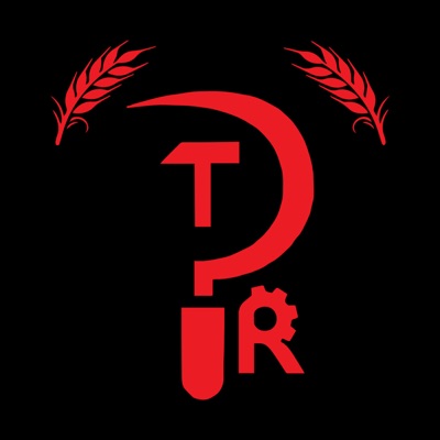The Peace Report The Peace Report