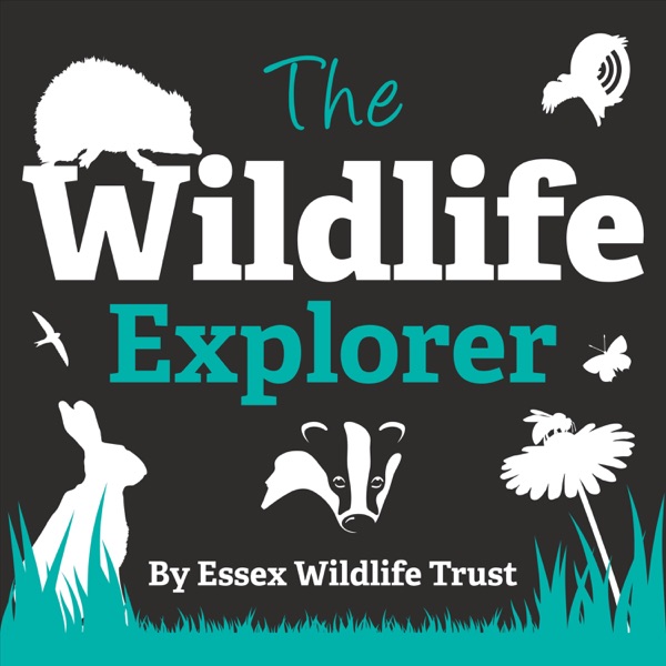 The Wildlife Explorer
