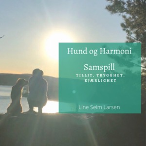 Hund og Harmoni