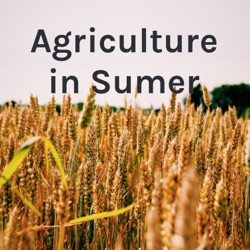 Agriculture in Sumer