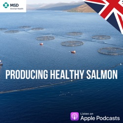 The rise of remote technology in aquaculture