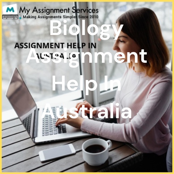 Assignment Help In Australia Artwork