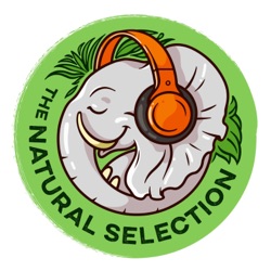 The Natural Selection Podcast