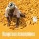 Dangerous Assumptions #3 Food Security: Whose Knowledge Counts?