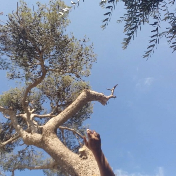 מיינדפולנס: תרגול תשומת לב לתחושות גוף, טון רגשי ומחשבות