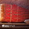 SBS Tigrinya - ኤስ.ቢ.ኤስ ትግርኛ
