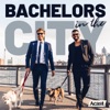 Bachelors In The City
