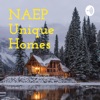 NAEP Unique Homes artwork