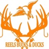 Reels Bucks and Ducks artwork