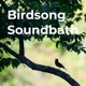 Birdsong Soundbath