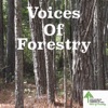 Voices of Forestry artwork