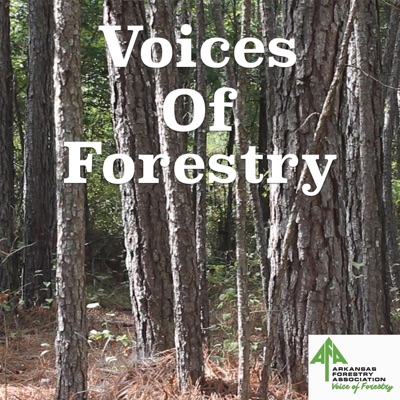 Voices of Forestry Voices of Forestry