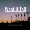 Want It Tall artwork