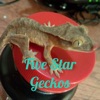 Five Star Geckos artwork