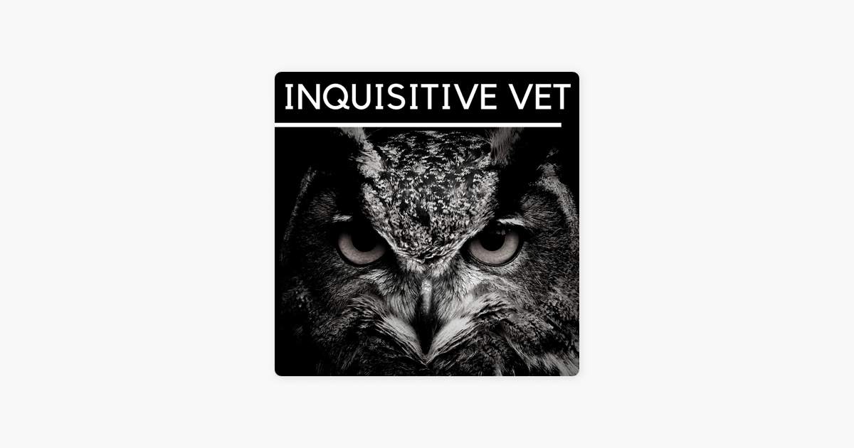 Apple Podcast内のinquisitive Vet Apple Podcast内のinquisitive Vet