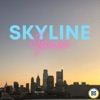 Skyline Spew artwork