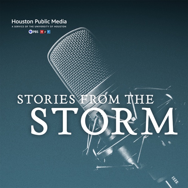 Stories from the Storm Artwork