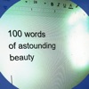 100 Words of Astounding Beauty artwork