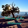 Wisdom of the Wilderness artwork