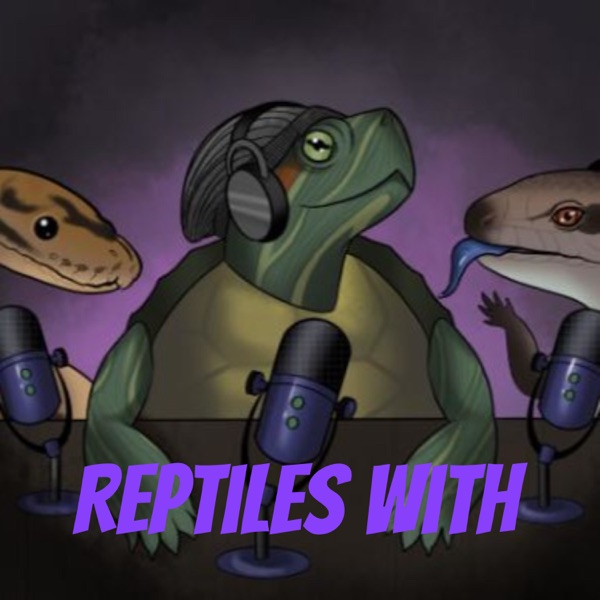 Reptiles With Artwork