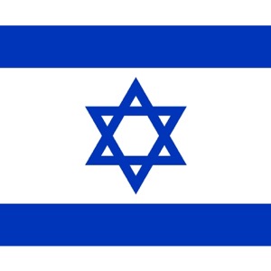 Jonny Gould's Jewish State