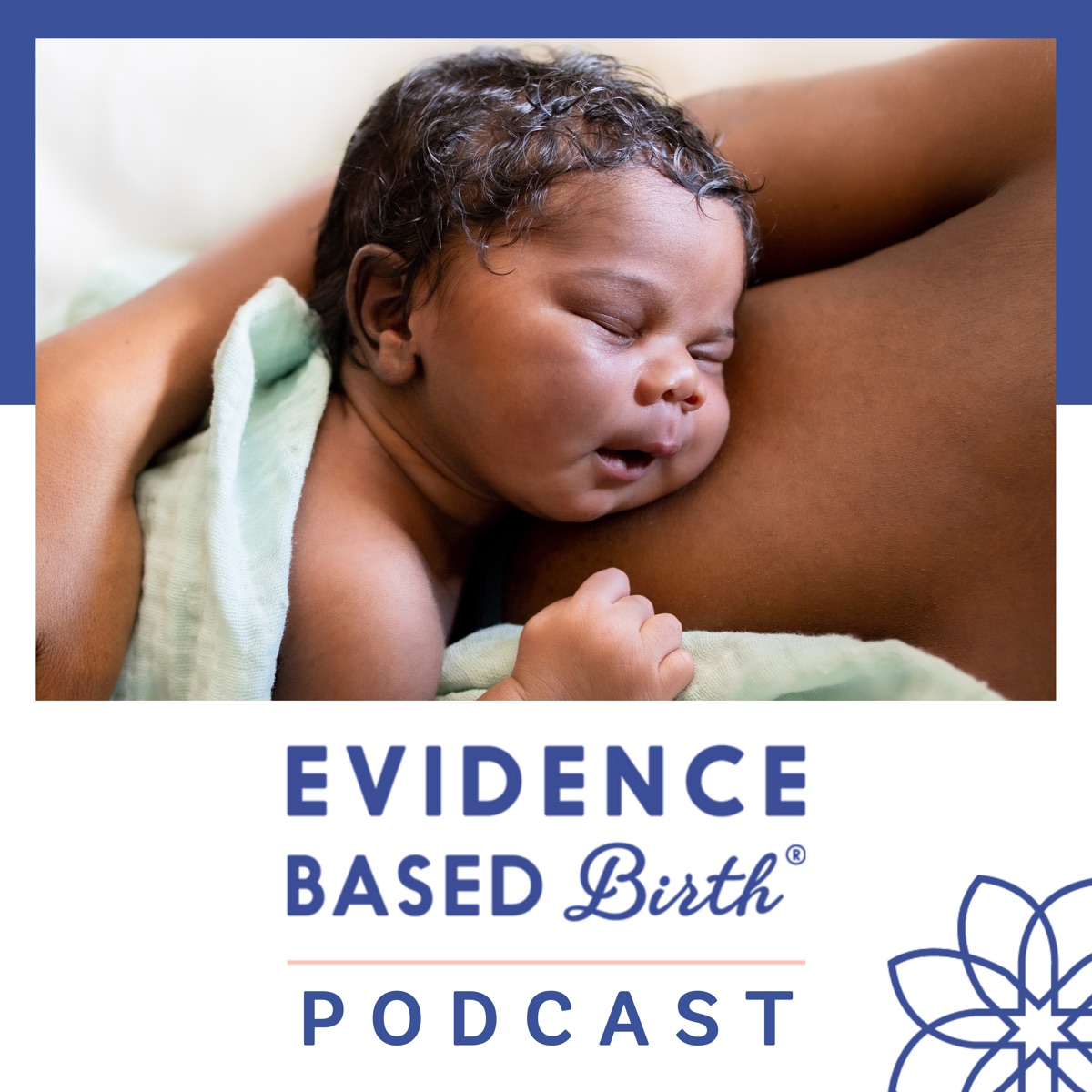 Guide to Pre-Pregnancy, Pregnancy, Postpartum and Breastfeeding —  Philadelphia Integrative Medicine