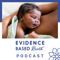 EBB 137 - The Power of Birth Stories with Bryn Huntpalmer
