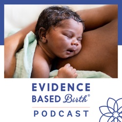 EBB 293 - Decolonial Approaches to Birth and Supporting Survivors with Eri Guajardo Johnson of Birth Bruja
