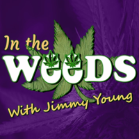 17. Creaky Joints and CBD Treatments with Seth Ginsberg