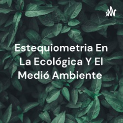 Estequiometria En La Ecológica Y El Medió Ambiente 