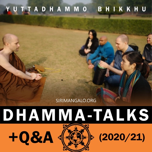 Dhamma / Q&A Artwork