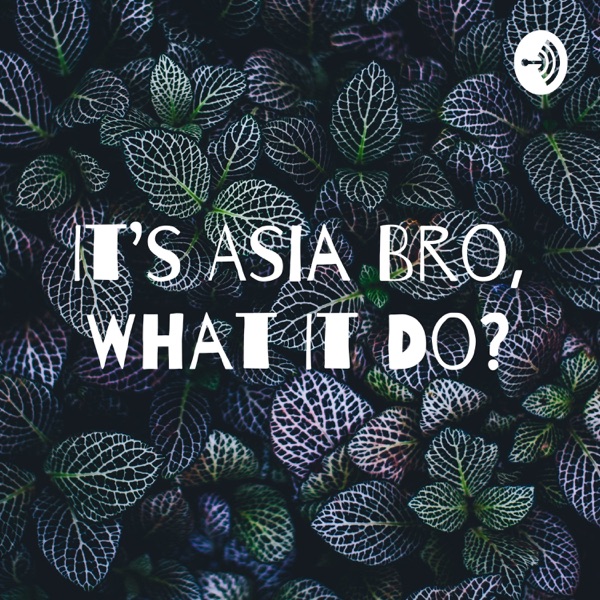 It's Asia Bro, What It Do? Artwork