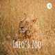 Theo’s Zoo