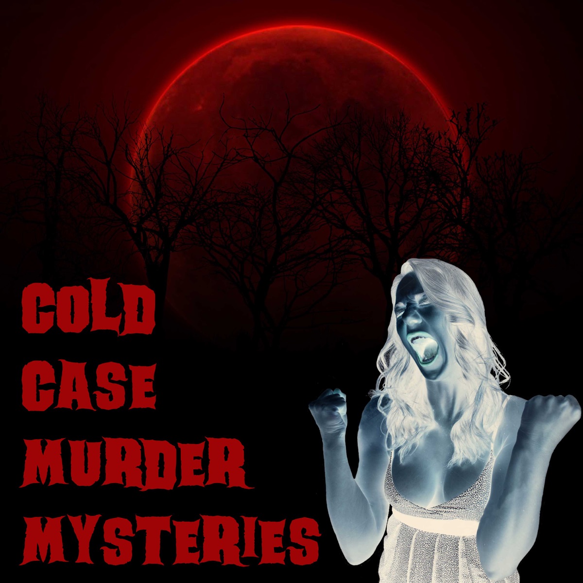 Cold Case Murder Mysteries – Podcast – Podtail