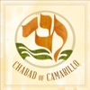 Chabad Of Camarillo artwork