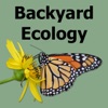 Backyard Ecology artwork