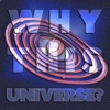 Why This Universe? artwork