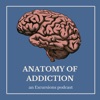 Anatomy of Addiction artwork