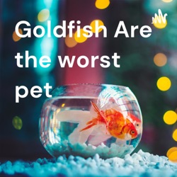 Goldfish Are the worst pet